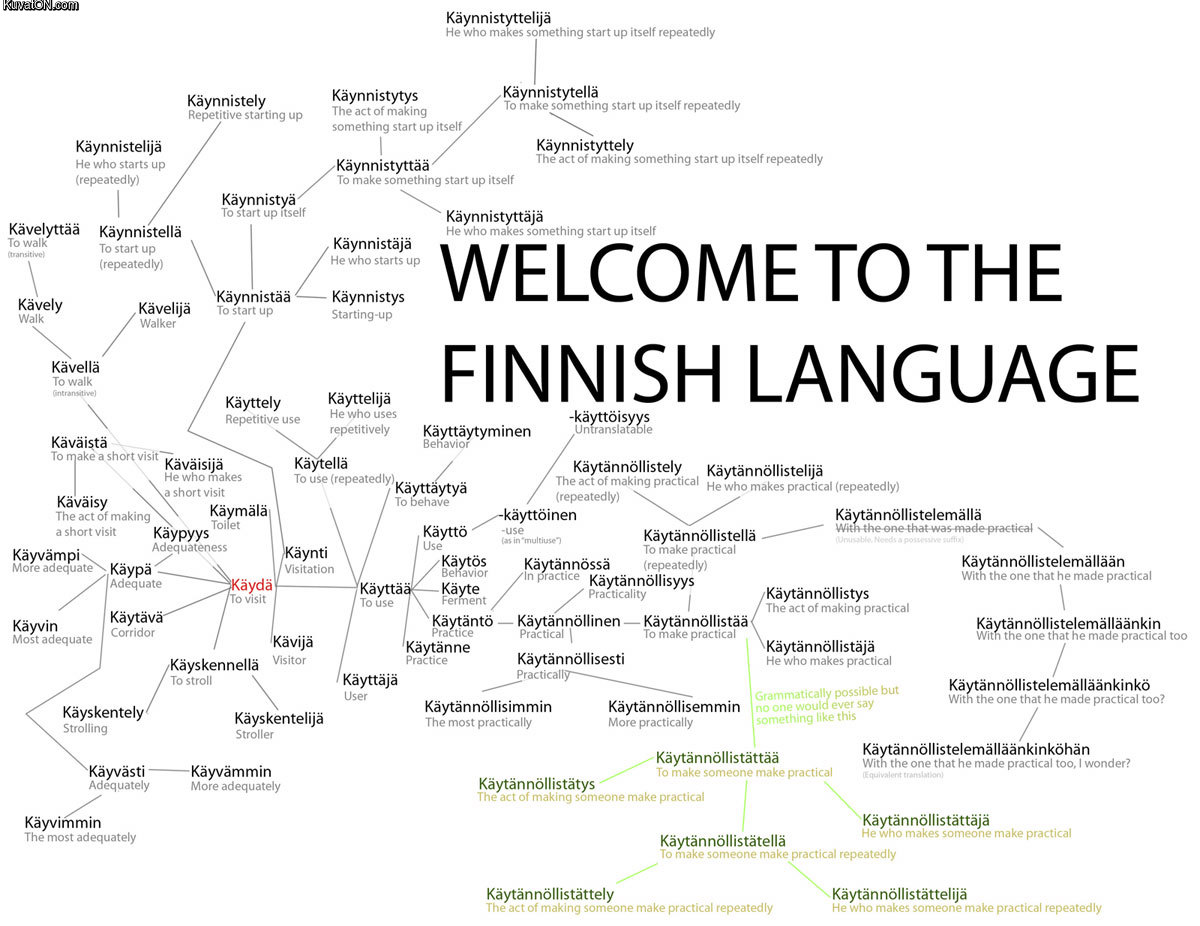 Finnish Vocabulary