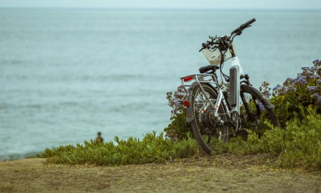 Sähköinen vallankumous pohjoisilla poluilla: Miten sähköavustus muuttaa suomalaista liikkumista