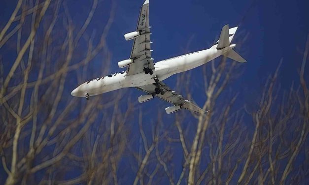 Repatriation Flight Price for Finns in UAE Slashed by Nearly Half Amid Ongoing Crisis