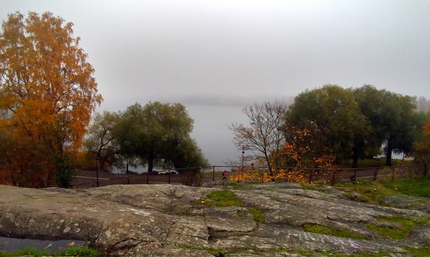 All-Time Warm Temperature Record in November Was Broken in Pori