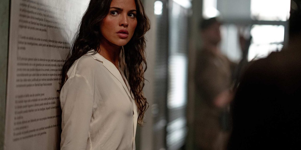 ‘In the Grey’ Film Review: From Slow Burn to Snatch‑Speed