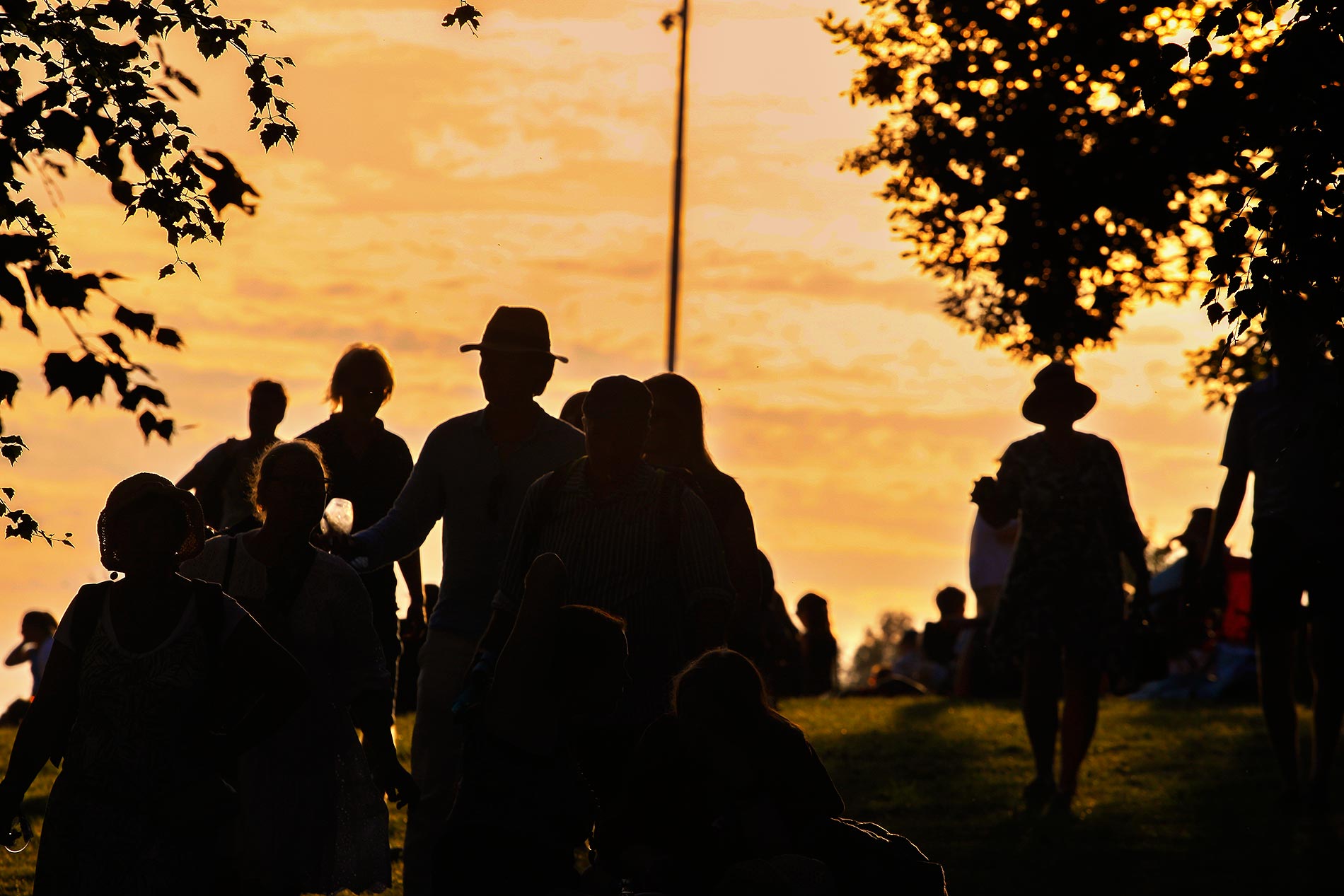 Fedoras lifted against the glare, the audience watches summer unfold. Photograph: TONY ÖHBERG/FINLAND TODAY