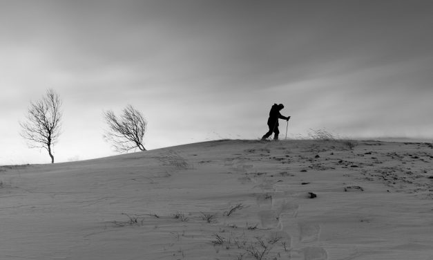 Minus 38,8 Degrees Measured in Lapland; New Record For This Winter