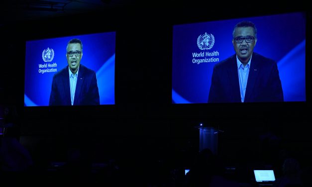 Prime Minister Marin Talks About the Need to Further Strengthen Multilateral Cooperation with WHO