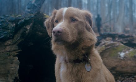 TONY ÖHBERG’S CUT: ‘Good Boy’; Stay! There’s Nothing Good Out There