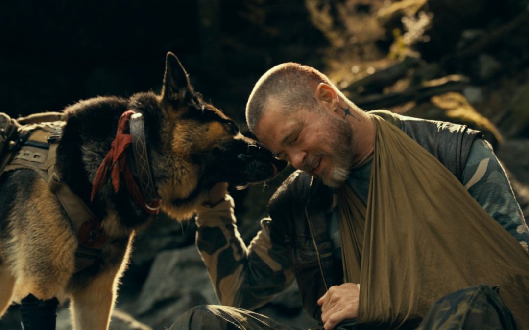 TONY ÖHBERG’S CUT: ‘Heart of the Beast’ Is a Five-Star Tearjerker