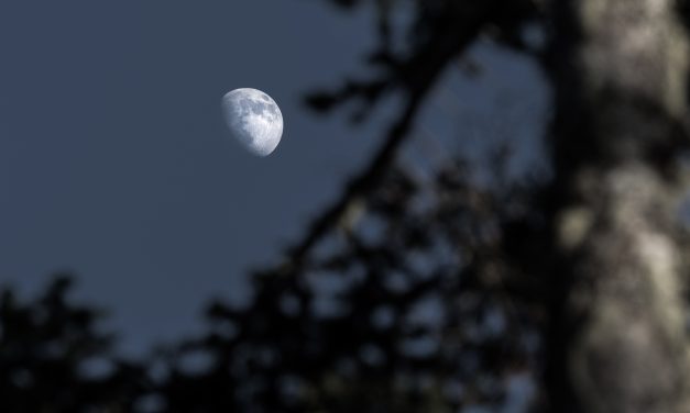 From Espoo to the Moon; Nokia Partners with NASA to Build First High-Performance Mobile Network on the Lunar Surface