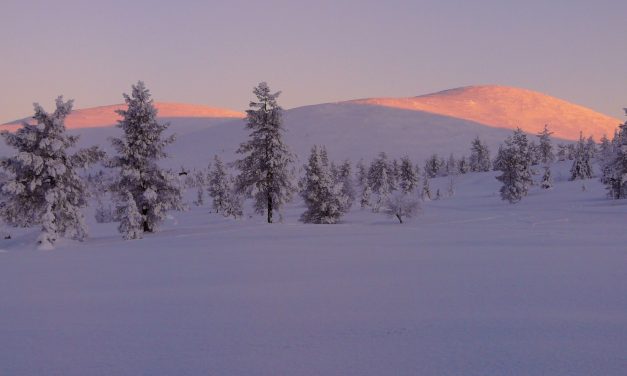 Mother and Child Found Dead After Avalanche in Pallastunturi, Lapland