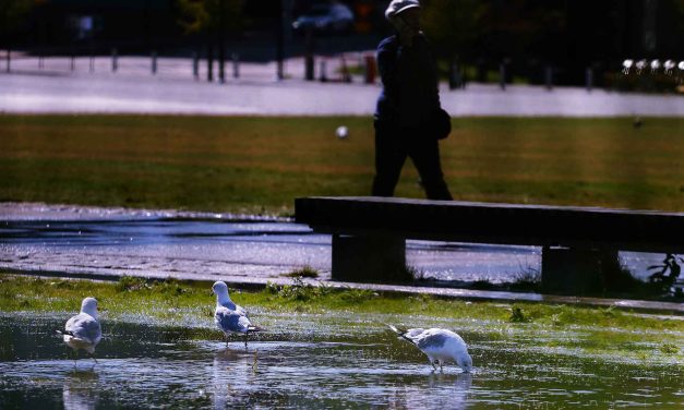 Rain and Slippery Roads Expected Across Finland This Week; Wearing Boots Is Recommended