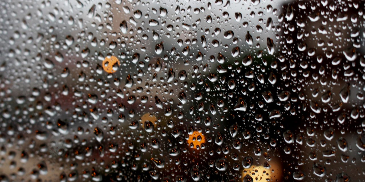 Rainy and Chilly Week Ahead