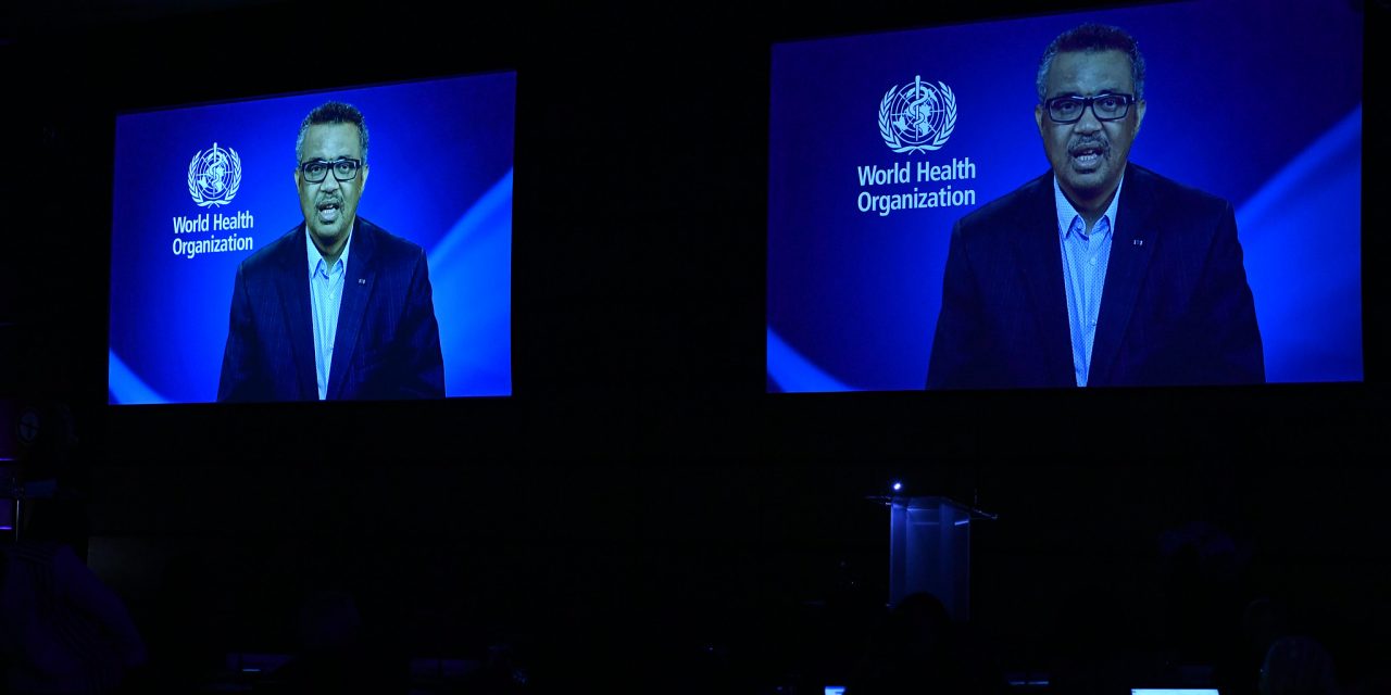 Prime Minister Marin Talks About the Need to Further Strengthen Multilateral Cooperation with WHO